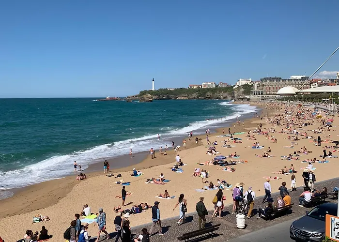 Centre, Pres Avenue De Verdun, Cosy 2 Pieces , Salon , Separe, Rue Tres Calme A 10 Minutes A Pied De La Grande 아파트